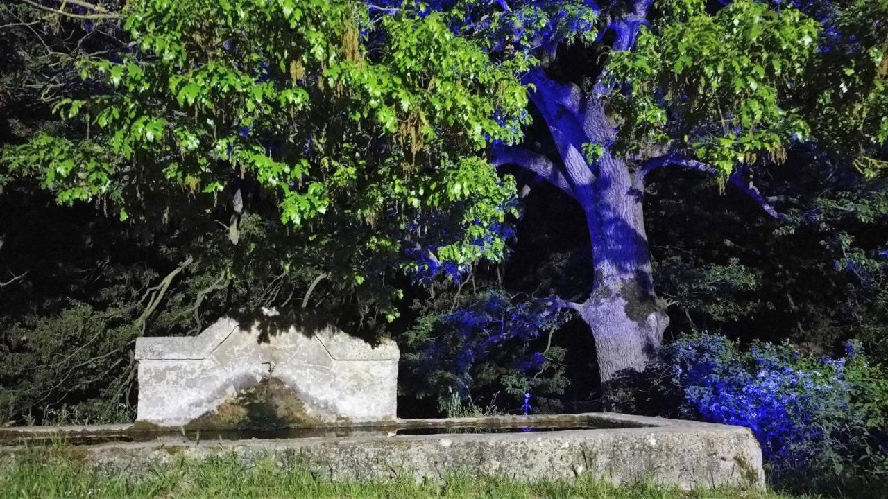 Pignola Sotto Il Cielo Hotel מראה חיצוני תמונה